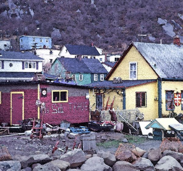 WATERCOLOR - NEWFOUNDLAND (2)