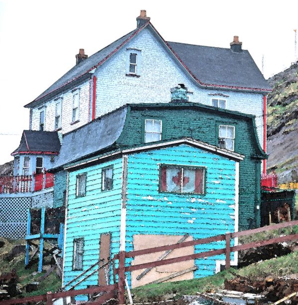 WATERCOLOR - NEWFOUNDLAND (4)