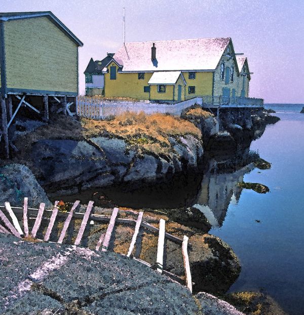 WATERCOLOR - NEWFOUNDLAND (8)