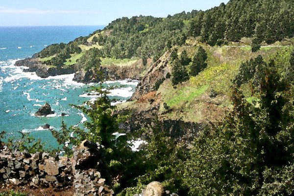 WATERCOLOR - OREGON - (1)