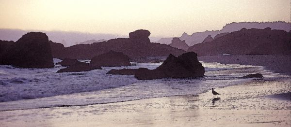 WATERCOLOR - OREGON - (7)