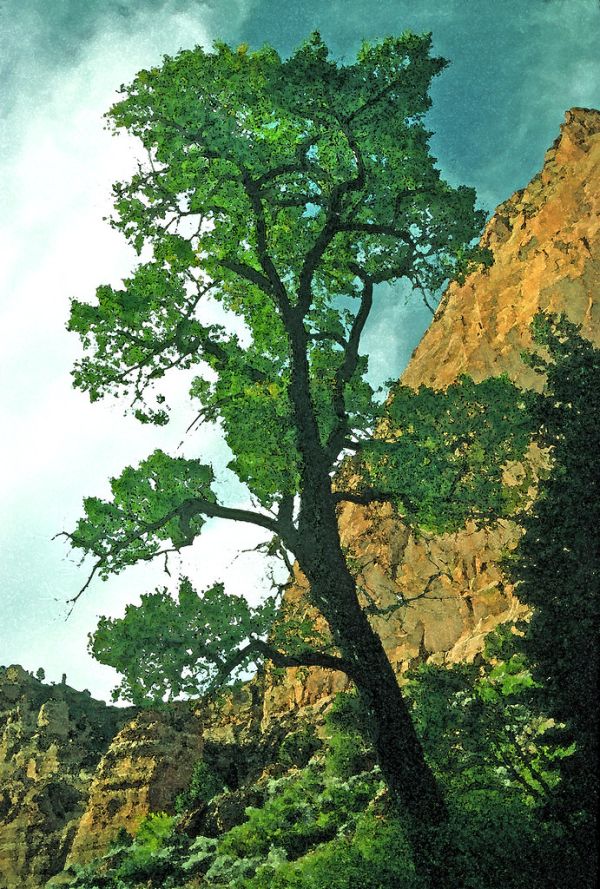 WATERCOLOR - UTAH - (17)