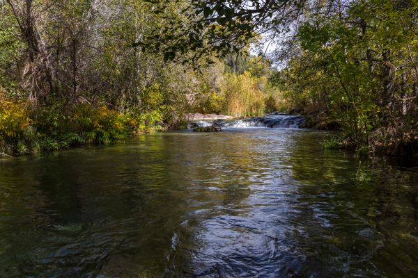 Waterfall Trail (November 14, 2017)