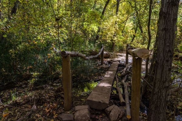 Waterfall Trail (November 14, 2017)