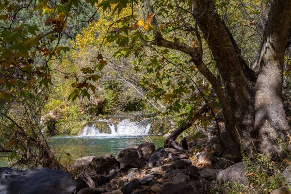 Waterfall Trail (November 14, 2017)