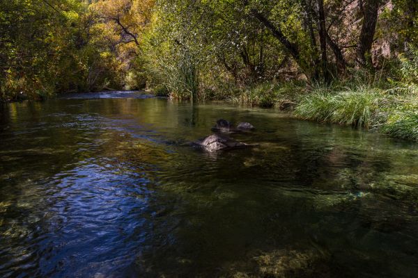 Waterfall Trail (November 14, 2017)