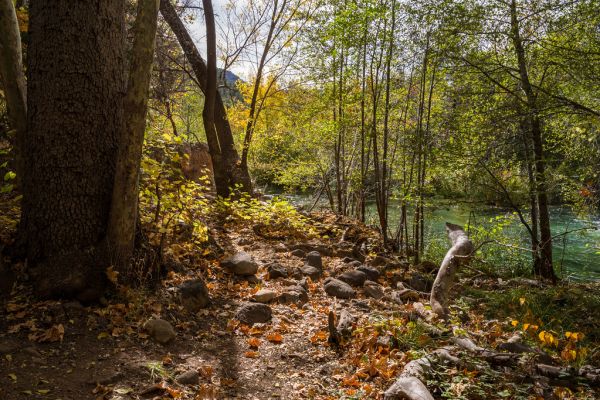 Waterfall Trail (November 14, 2017)