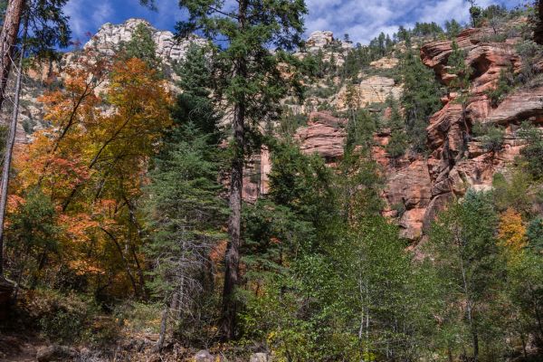 West Fork of Oak Creek Canyon No. 108