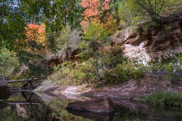 West Fork of Oak Creek Canyon No. 108