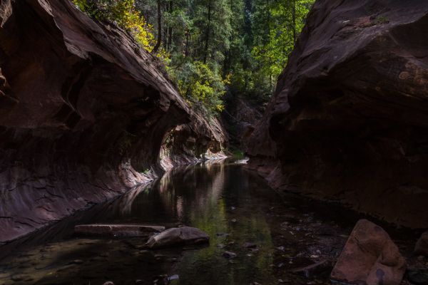 West Fork of Oak Creek Canyon No. 108