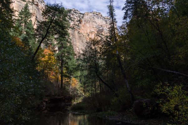West Fork of Oak Creek Canyon No. 108