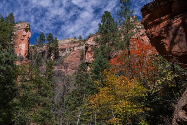 West Fork of Oak Creek Canyon No. 108