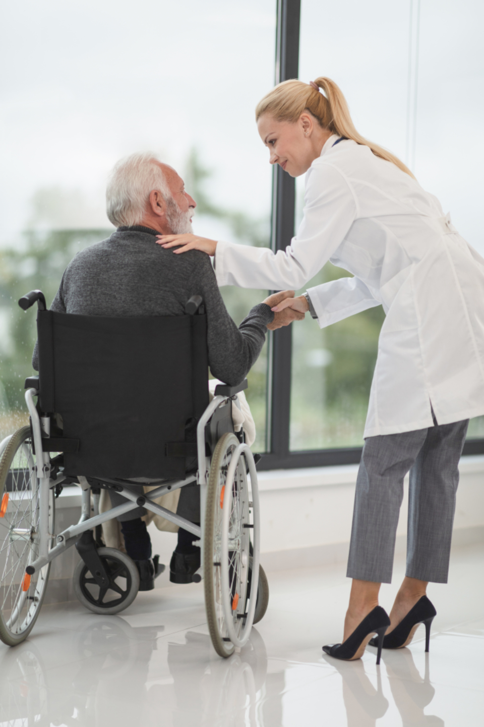 Wheelchair Person