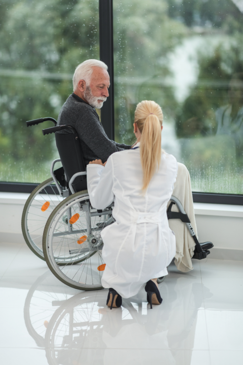 Wheelchair Person