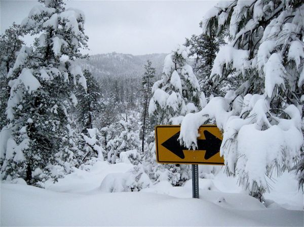 Which Way to Go?