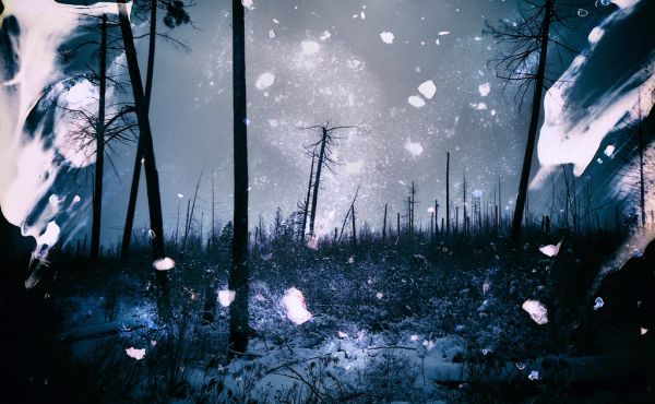 While The Earth Remains