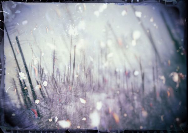 White As Snow