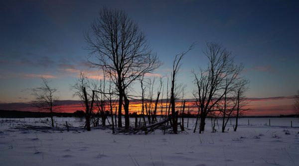 White Fields
