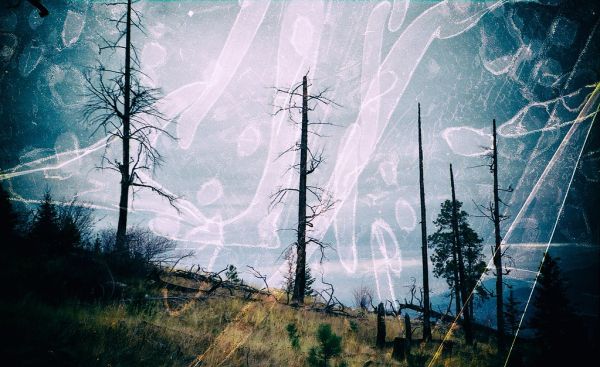 Wilderness Grasslands