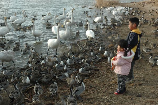 Wildlife and Human Health Interactions