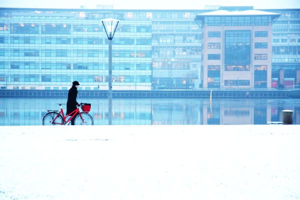 Winter Harbour - Cycling in Winter in Copenhagen