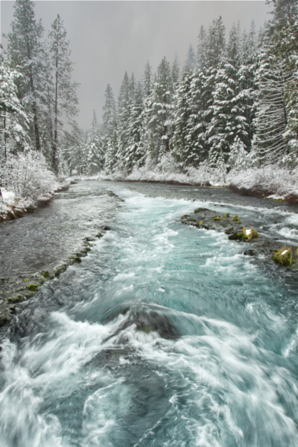 Winter Snow