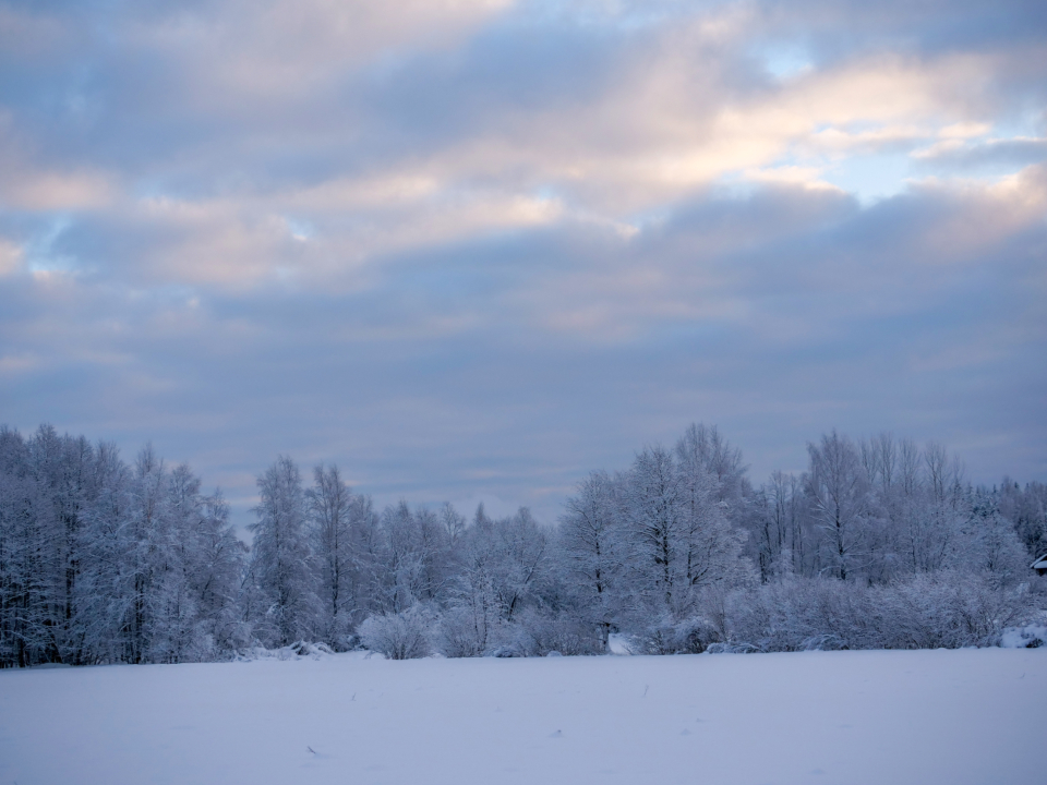 Winter Snow