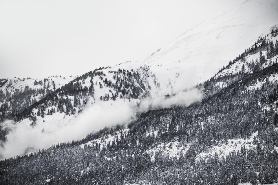 Winter Snow