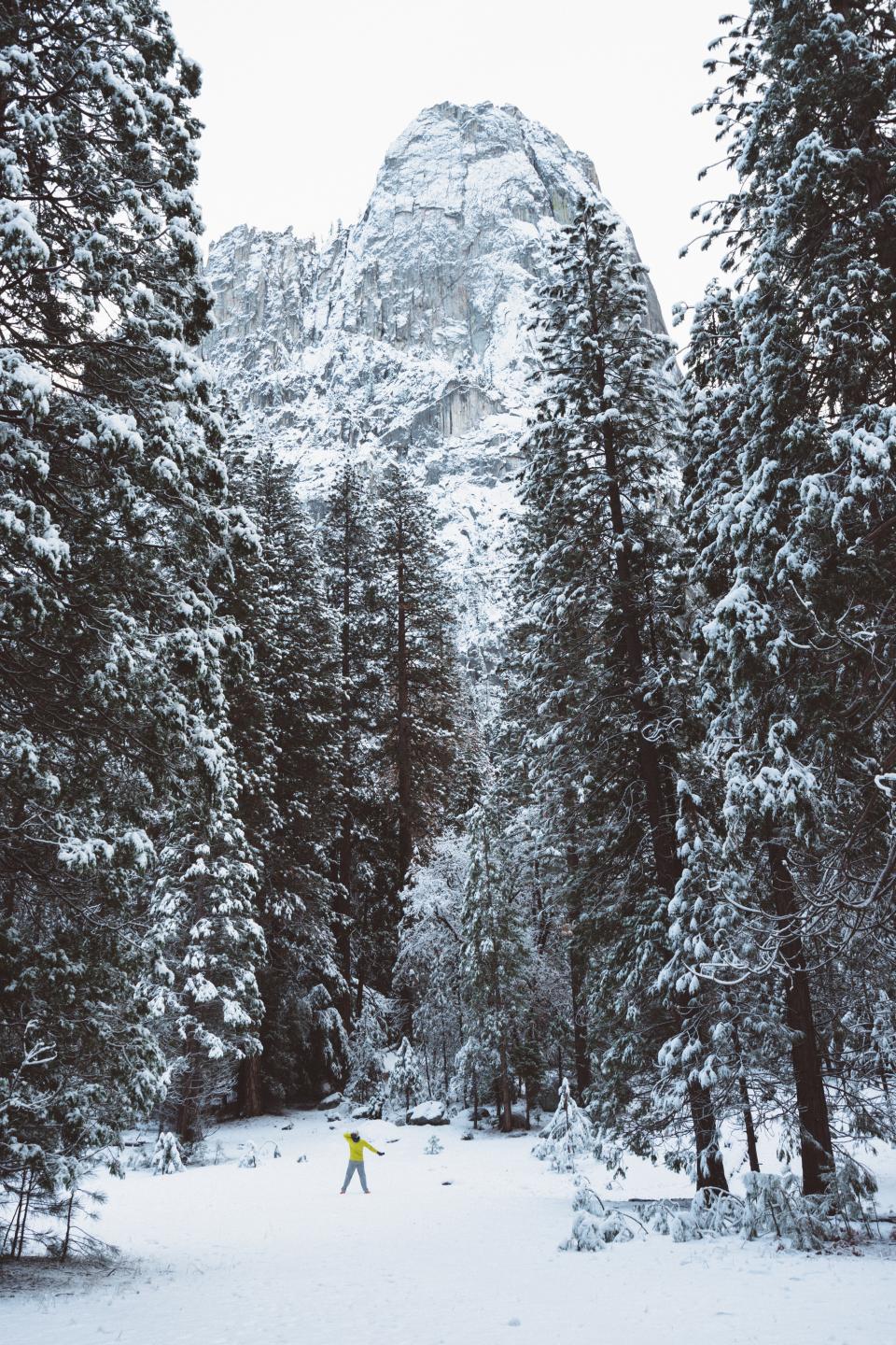 Winter Snow