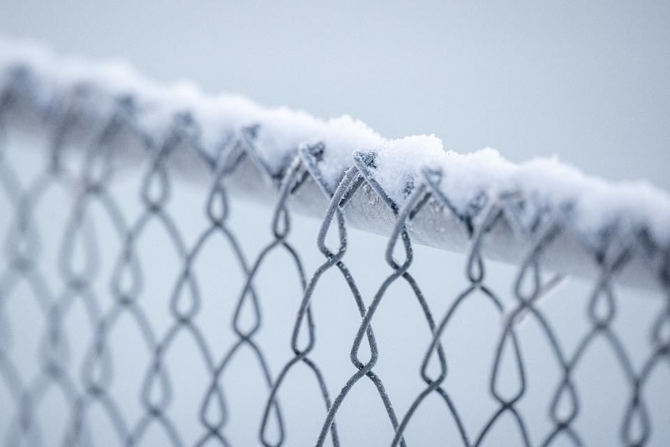 Winter Snow