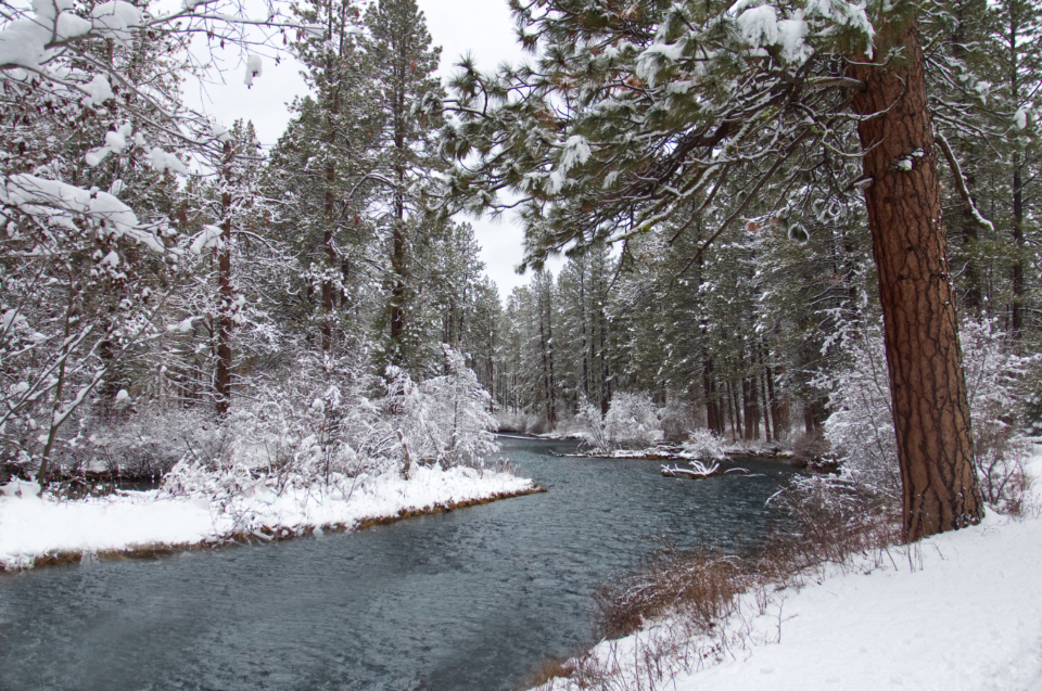 Winter Snow