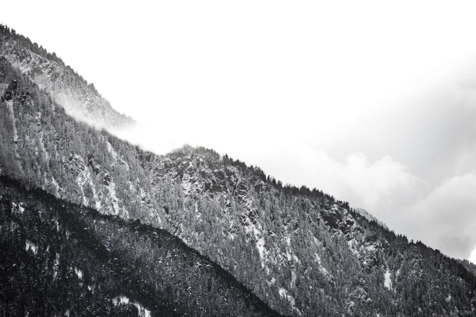 Winter Snow