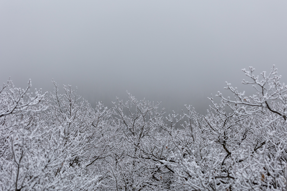 Winter Snow