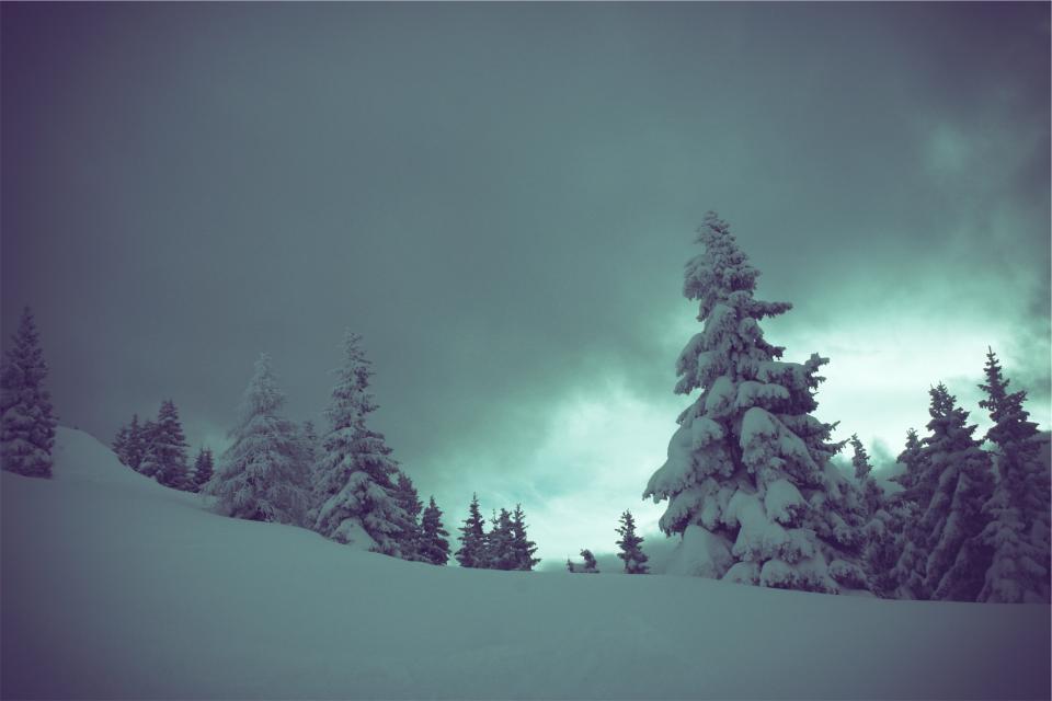 Winter Snow
