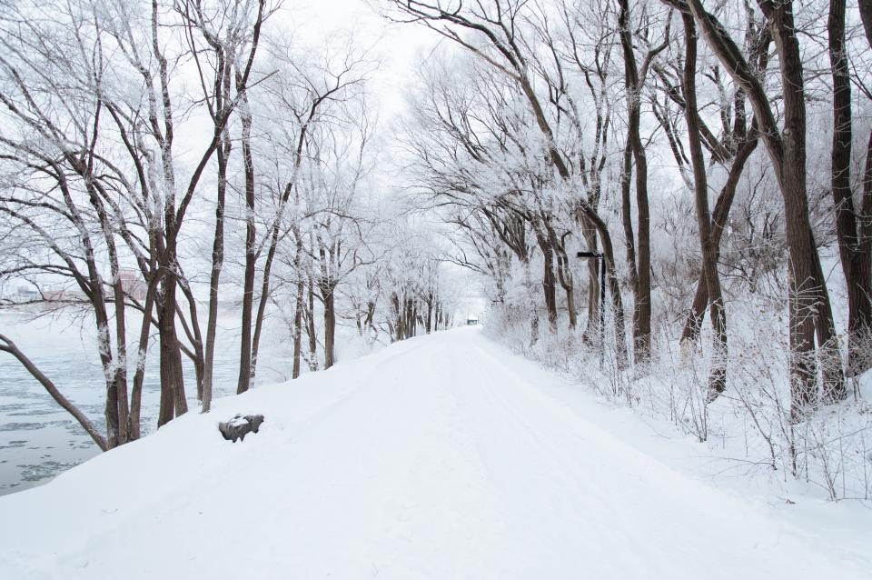 Winter Snow