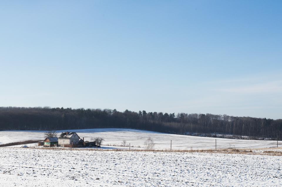 Winter Snow