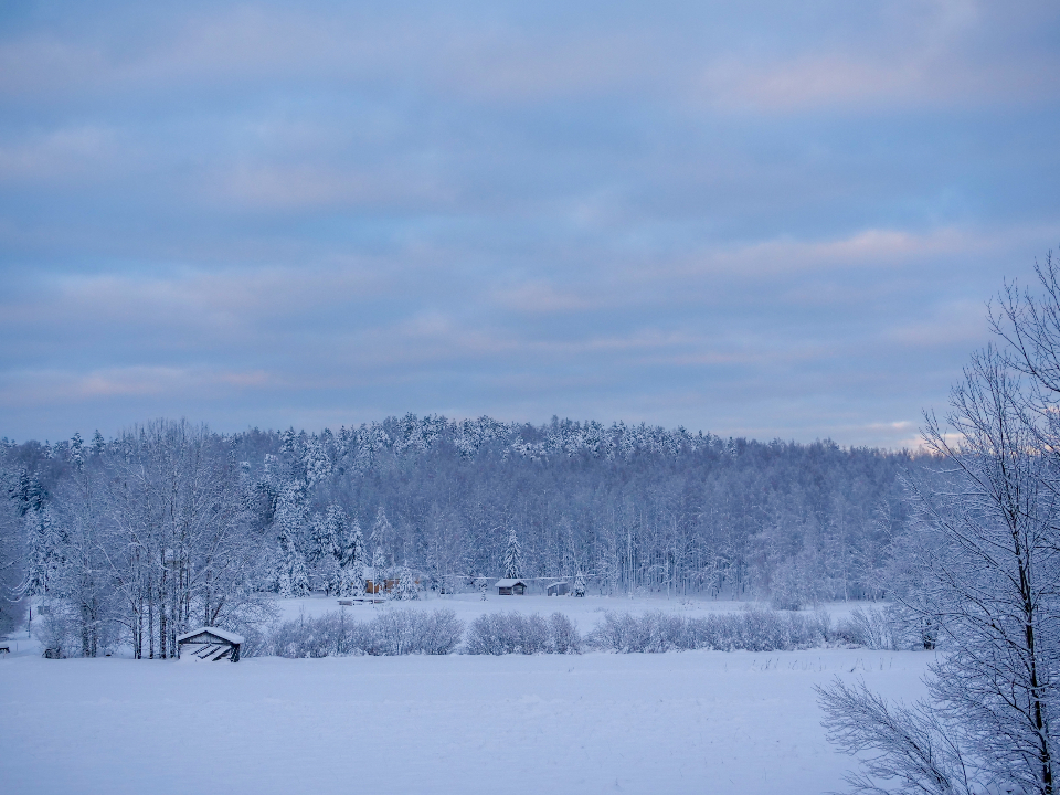 Winter Snow