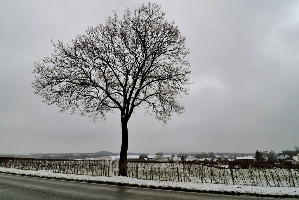 Winter Snow Road Place