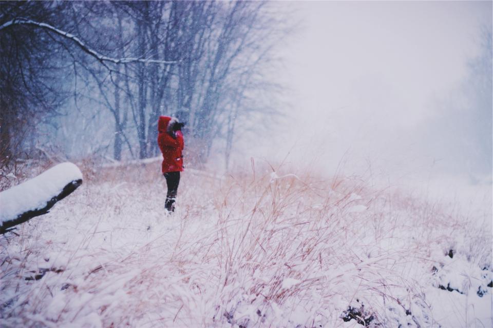 Winter Snow
