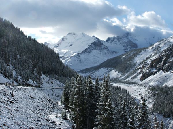 Winter Snows