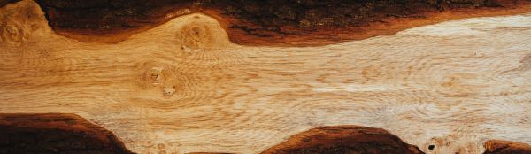 Wood Grain Background Texture