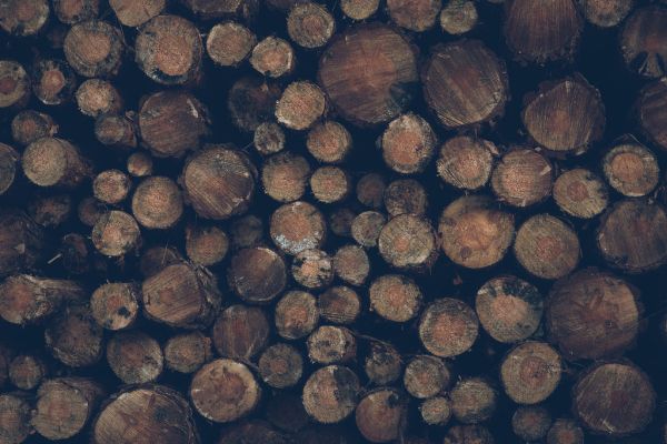 Wood Logs Background