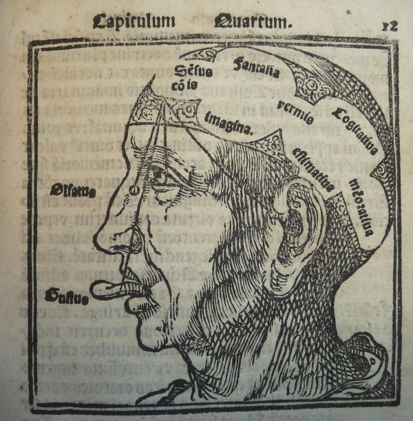 Woodcut diagram of the faculties of the soul from Johann Horst vom Romberch's Congestorium artificiose memorie (Venice: Melchiorre Sessa, 1533)