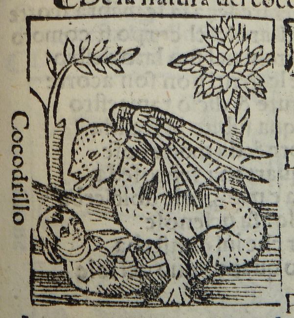 Woodcut of a crocodile[!]
