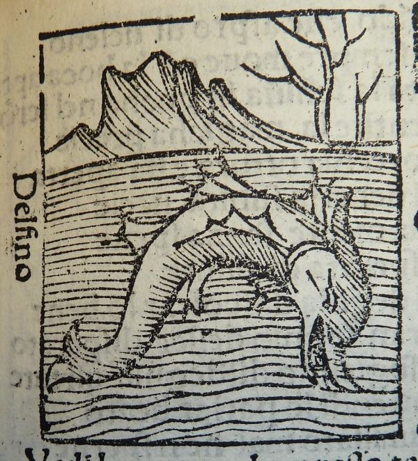 Woodcut of a dolphin