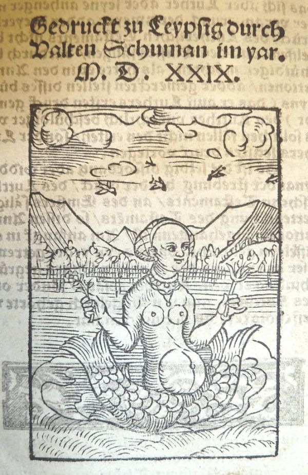Woodcut of a (fashionably accoutred!) mermaid with two tails holding a flower in each hand. Used by Valentin Schumann of Leipzig.