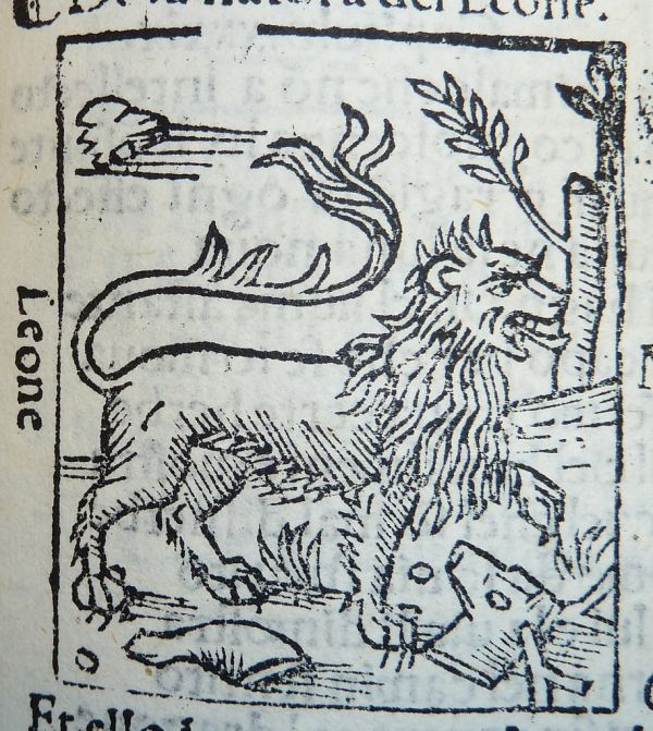 Woodcut of a lion and a stag