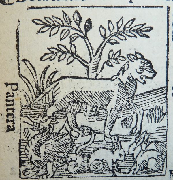Woodcut of a panther, rabbits, and a dragon
