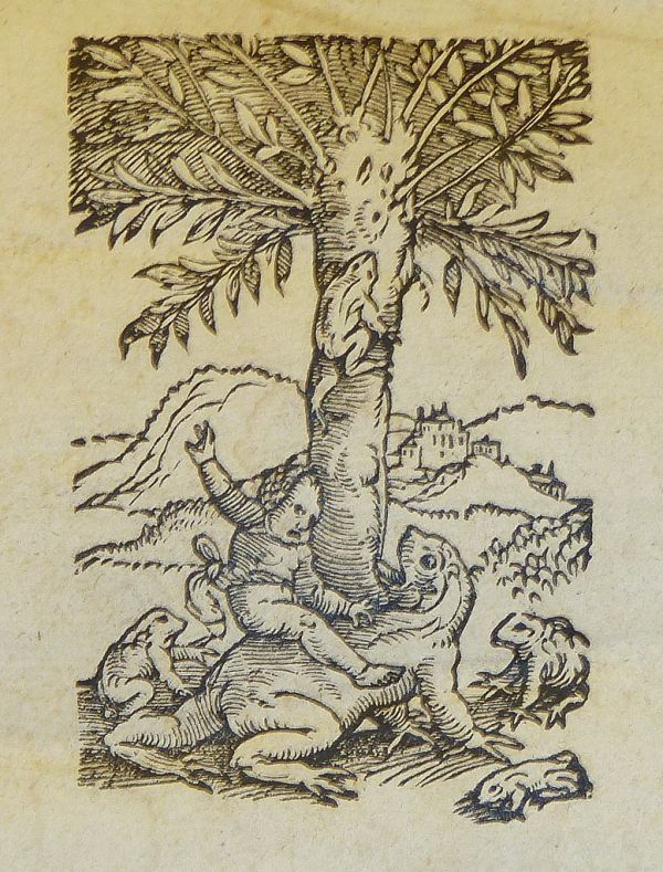 Woodcut printer's device of Christoph Froschauer of Zurich