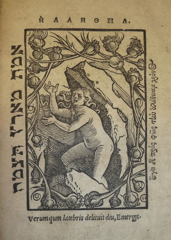 Woodcut printer's device of Johann Knobloch of Strasbourg